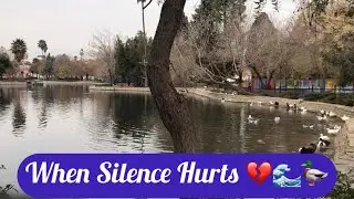 This Peaceful Lake Will Calm Your Mind (Sad Relaxing Music for Sleep & Emotions)