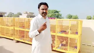 PIGEONS New Breeding cages by Imran Badil ||