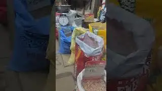 Buy food for our  Mama pig 🐷