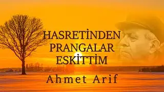 Hasretinden Prangalar Eskittim I Ahmet Arif