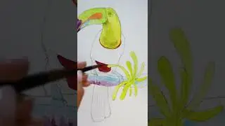 How to paint a vibrant Toucan 🖌️  #birdlovers  #arttutorial  #artherapy #watercolor  #natureart