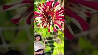 #reels #funny #beautifulworld #cute #lifeonearth #comedy #animallife #animals #shortvideo #shorts