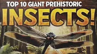 🦗🌍 Top 10 Giant Prehistoric Insects That Lived on Earth! 💥🦋