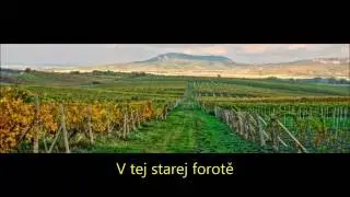Tufaranka - V tej starej forotě