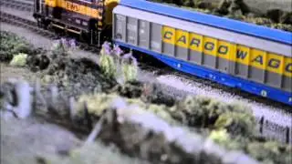 CargoWaggons 2 fim version