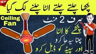 Fixing Ceiling Fan Anti-Clockwise Rotation Problem: A Step-by-Step Solution | Electric Online
