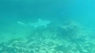 SIMBA SEA TRIPS  - Phi Phi Sunrise tour summary in one minute