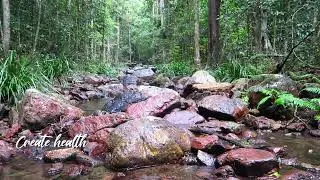 Immersive Therapy - How can I learn to love myself -Nature sounds and scenes