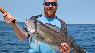 Deep Dropping For Blueline Tilefish