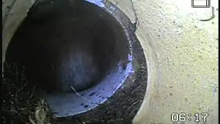 Blocked drain 2020-02-26 17228 #1