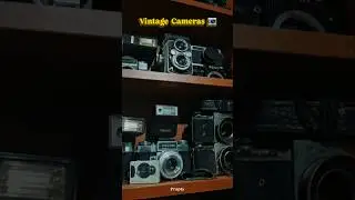 || Vintage Cameras 📷 || #kolkatadiaries #vintage #vintagecamera #vintageshop #nikon #canon