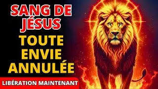 🩸 Le Sang de J&eacute;sus ANNULE les liens, le mauvais &oelig;il et toute envie lanc&eacute;e contre votre destin