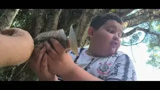 Hoje foi dia de lambari #fish 