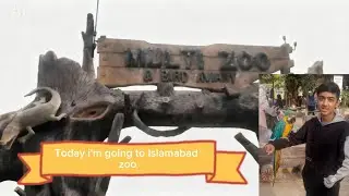 Multi Gardens B17 Islamabad, Zoo Vlog | Wildlife, kids fun & Relaxing Day Out #multi#gardens#zoo 
