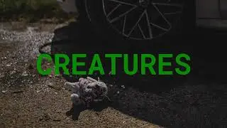 Rudy Stalk - Creatures (Audio)