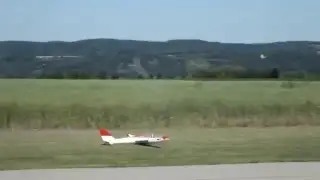MDM-1 Fox, RC aerobatic glider, 3,5m
