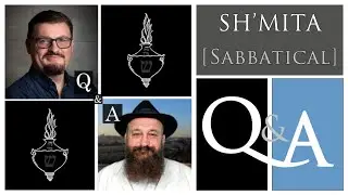 Q & A on SH'MITA (SABBATICAL)