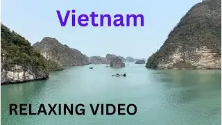 Vietnam video|Relaxing Nature Video|Vietnam Travel Video|