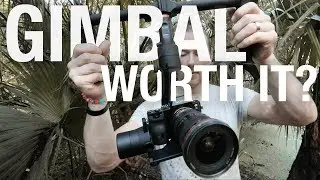 Is a GIMBAL worth it?