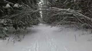 Пробежка 2.01.2026