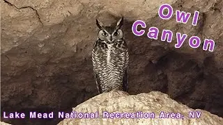 Owl Canyon, Slot Canyon, Lone Mountain Hiking Club, Lake Mead National Recreation Area, Nevada