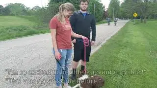 Reactive Dog Before & After