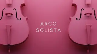 New Capsule: Arco Solista