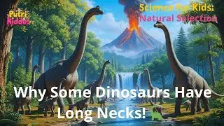 Science for Kids: Dinosaurs and Natural Selection - The Tale of Necks🦕 | Jurassic Ancient Creatures