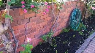 Pre purchase building inspections melbourne