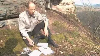 Le faucon pèlerin - Natura 2000