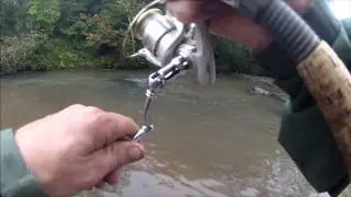 River Fishing: Bartram's Bass