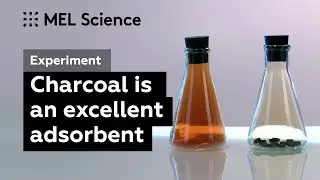 How to purify air with activated charcoal (