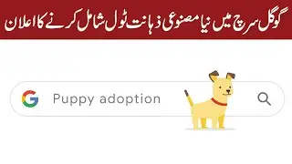 New Changes To Google | Talon News TV HD