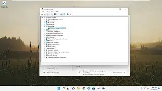 Service Host Network Service Utilisation &eacute;lev&eacute;e du r&eacute;seau dans Windows 11/10