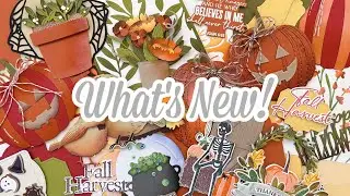 Papertrey Ink August 2025 Release: Halloween & Autumn Ideas | What's NEW, Let's Take A Look!