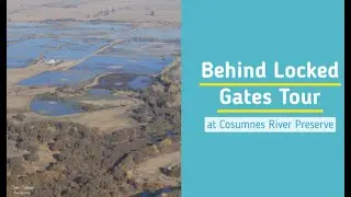 Behind Locked Gates Tour Final ‐ Cosumnes River Preserve - 14th Annual Galt Winter Bird Festival
