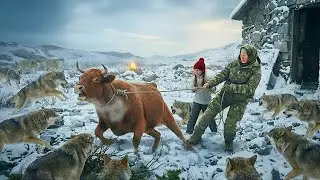 When Wolves Came for the Cattle | Winter's Deadliest Night