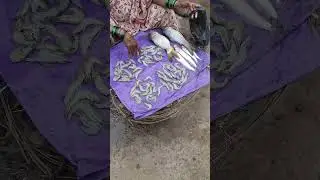prawan shop in village