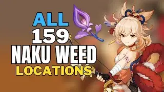 All 159 Naku Weeds Locations Fast & Efficient Farming Route Genshin Impact Yoimiya Ascend Material