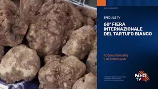 60&ordf; fiera internazionale del Tartufo bianco di Acqualagna