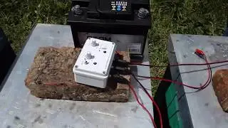Bee Venom Collecting BEE VEE How To Prepare