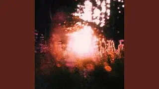 Bokeh