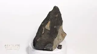 Amo Meteorite 1,931grams - Fell to Earth December 10, 2024