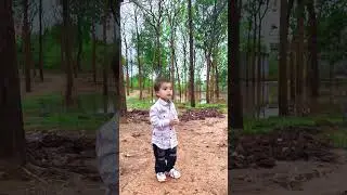 Early Monsoon Kamareddy #ytshorts #cutebaby #nature #rain #shortsfeed #cute #nizamabad #kamareddy