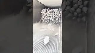 The process of unloading chilled sea fish. Good methods help work