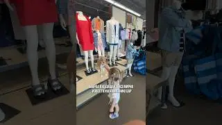 Обзор магазина | Old navy | бюджетная линия известного бренда | GAP