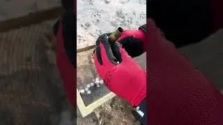 Чистка пляжа от мусора и стеклянных осколков