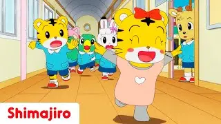 Hanna goes to school! 🎒 | Back to School Special Episode Compilation | Shimajiro