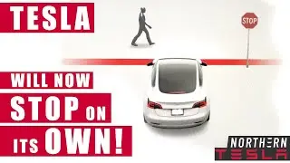 Tesla Software Update  | 20.20.13 | Your Tesla will now stop on it's own at intersections!!!