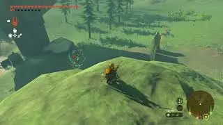 Zelda Tears of the Kingdom - Captain Construct vs Bokoblin and Aerocuda